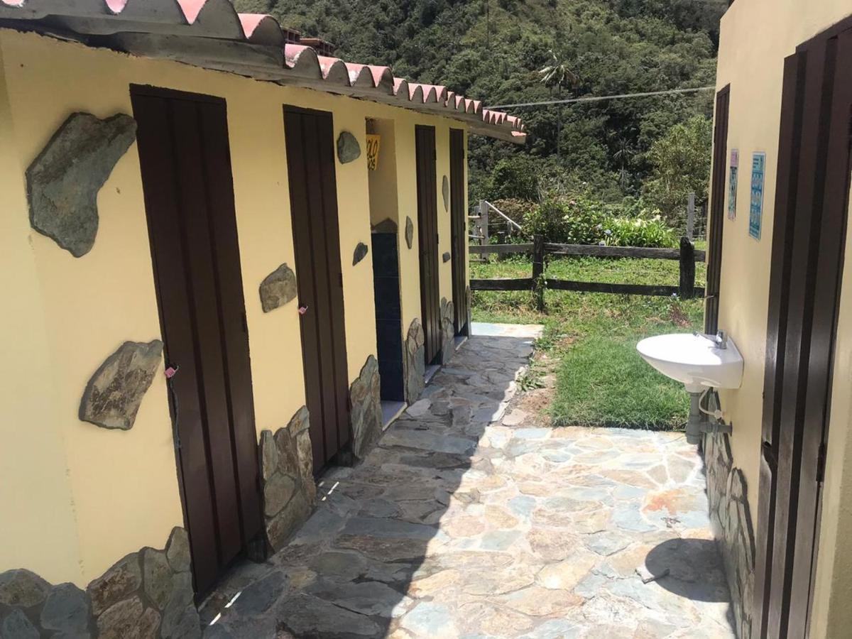 Refugio Nidos Del Condor Cocora Salento Exteriör bild