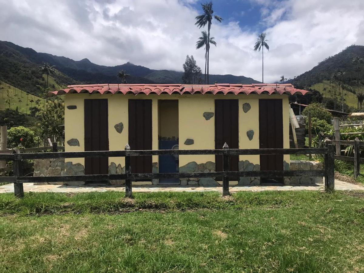 Refugio Nidos Del Condor Cocora Salento Exteriör bild