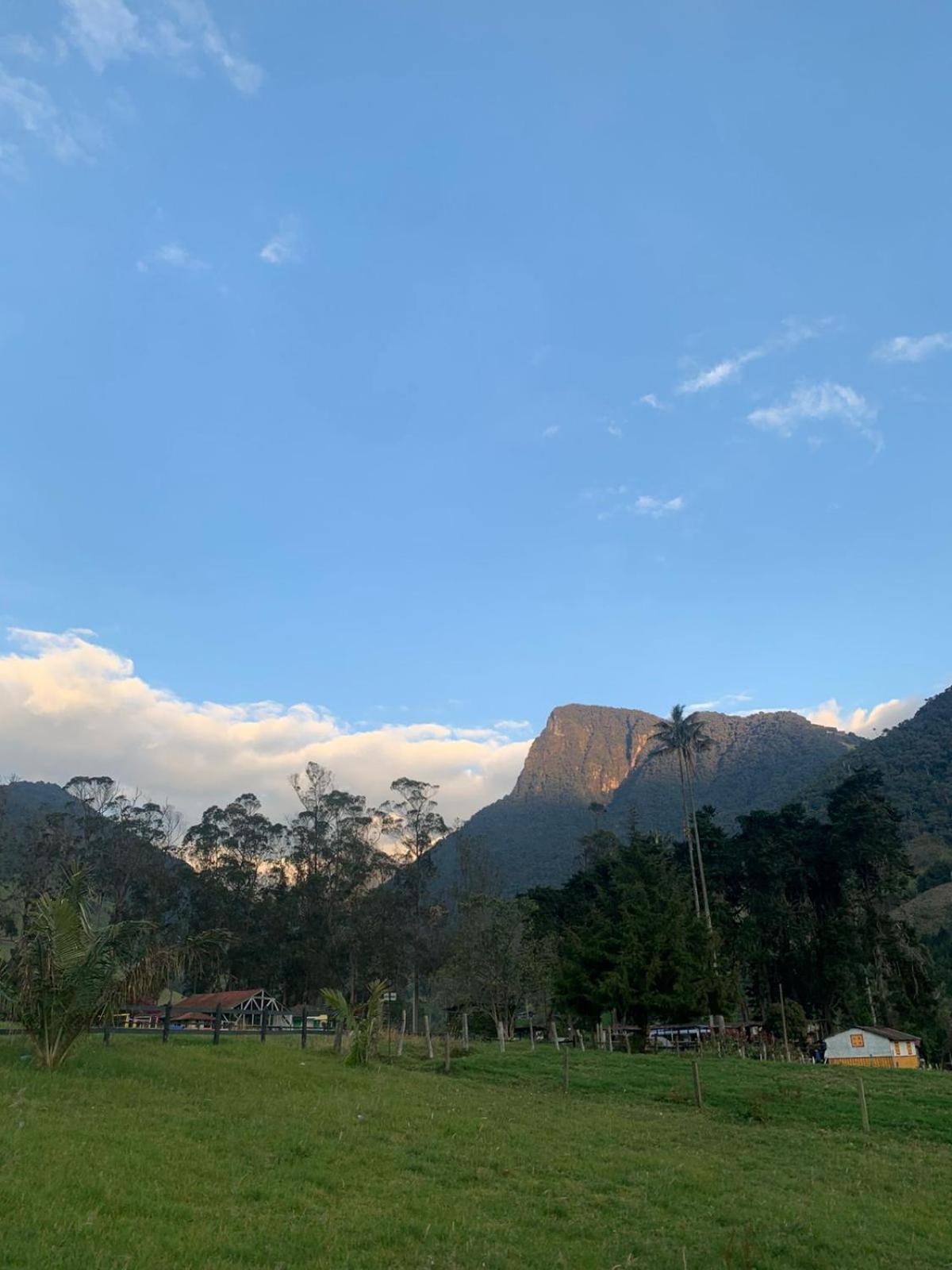 Refugio Nidos Del Condor Cocora Salento Exteriör bild