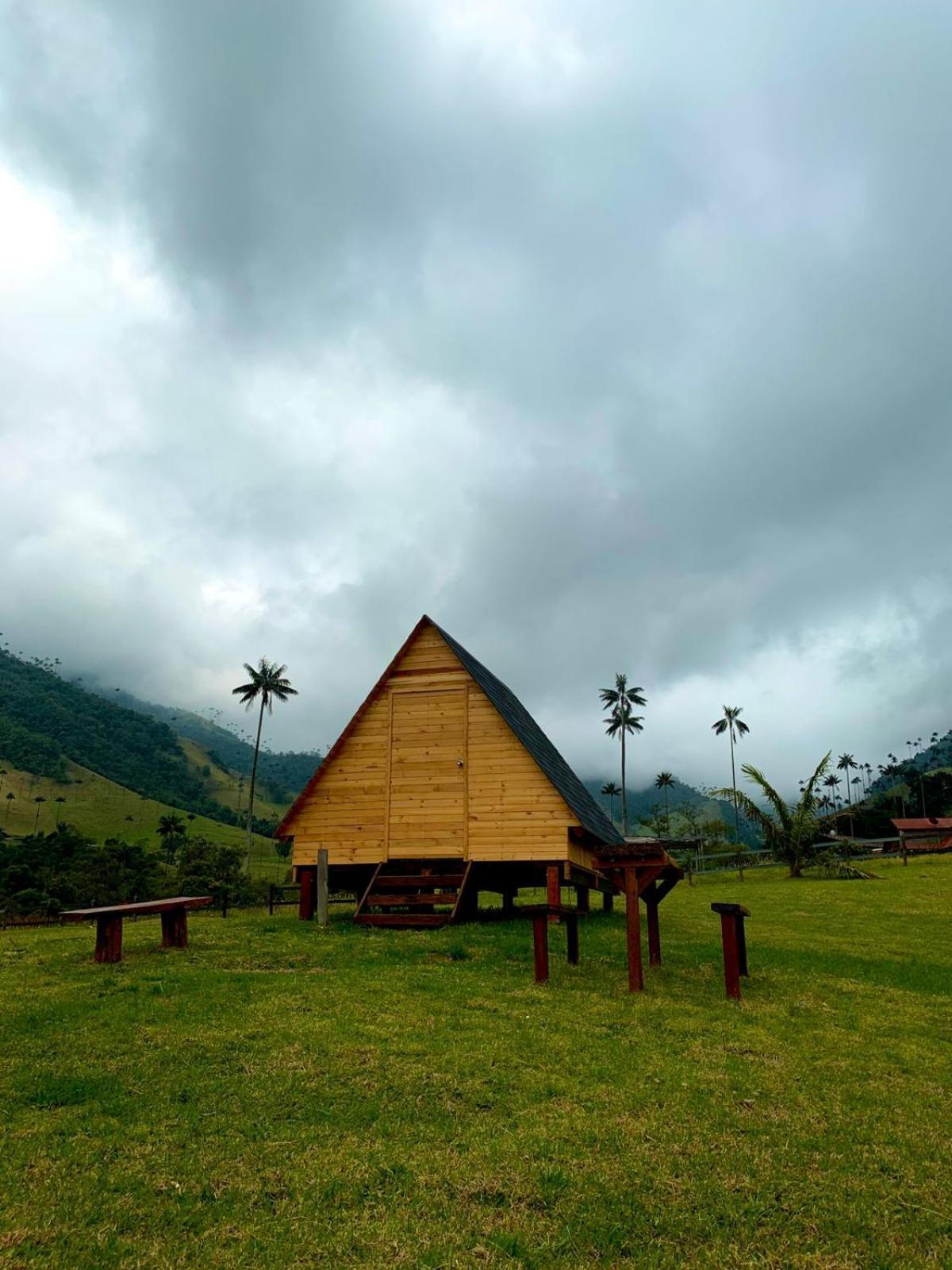 Refugio Nidos Del Condor Cocora Salento Exteriör bild
