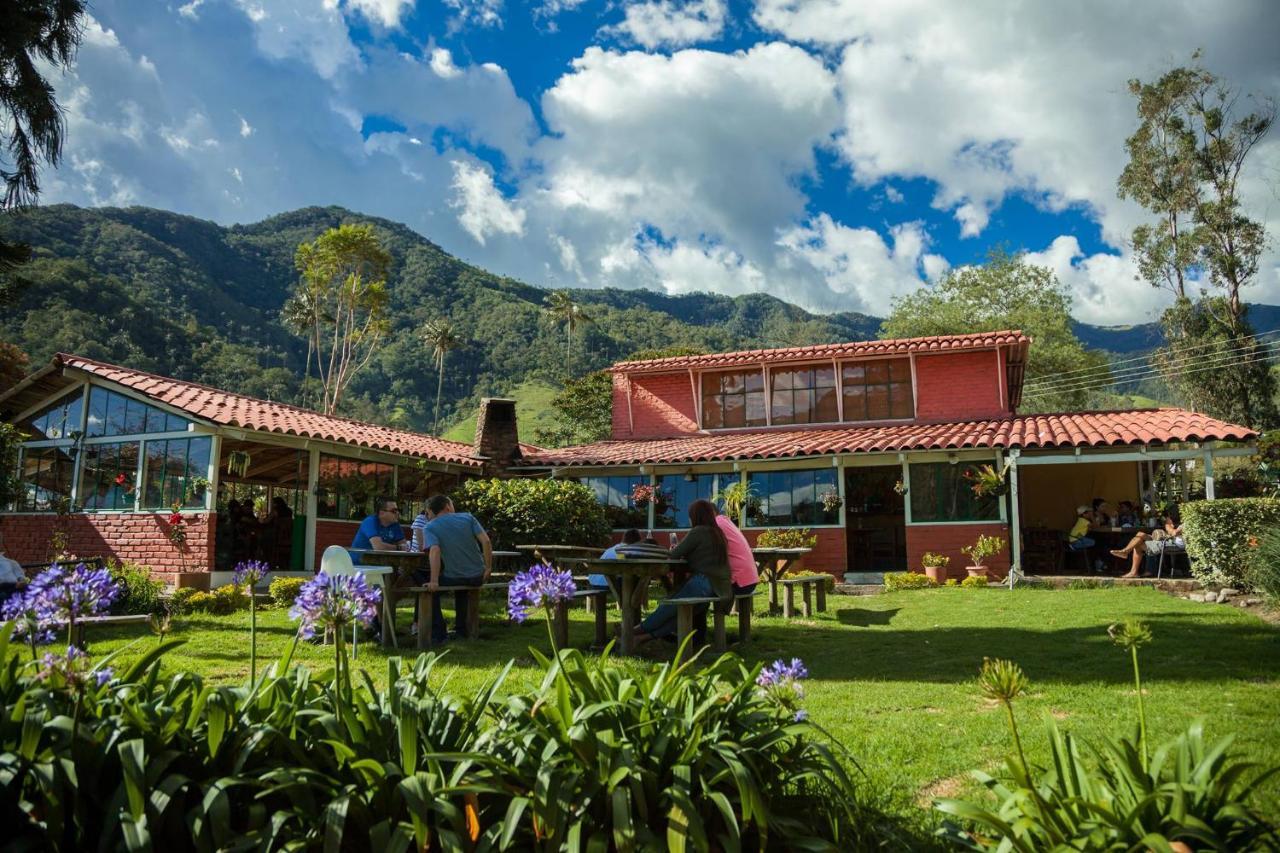 Refugio Nidos Del Condor Cocora Salento Exteriör bild