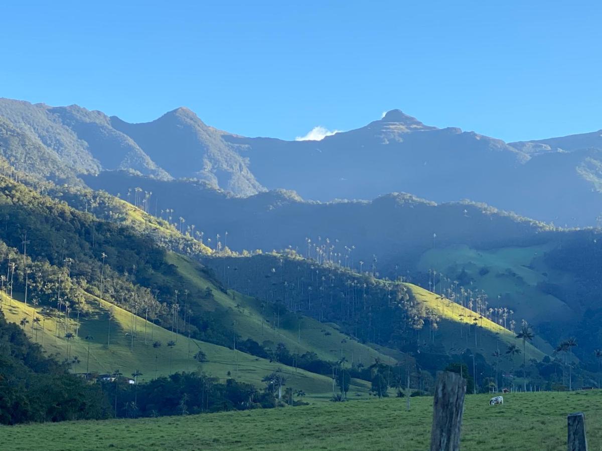 Refugio Nidos Del Condor Cocora Salento Exteriör bild